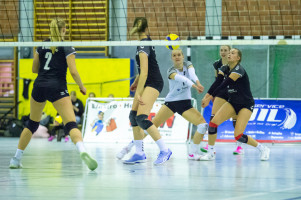 volleyball sv bad laer sc spelle venhaus  