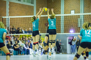 volleyball sv bad laer sc spelle venhaus  