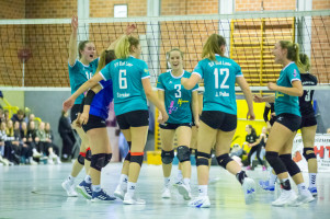 volleyball sv bad laer sc spelle venhaus  