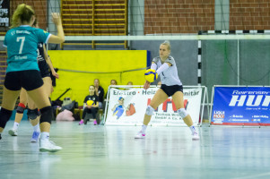 volleyball sv bad laer sc spelle venhaus  