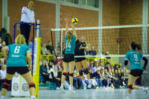 volleyball sv bad laer sc spelle venhaus  