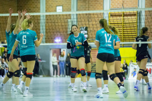 volleyball sv bad laer sc spelle venhaus  