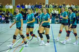 volleyball sv bad laer sc spelle venhaus  