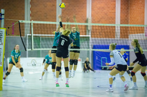 volleyball sv bad laer sc spelle venhaus  