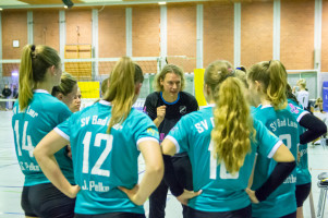 volleyball sv bad laer sc spelle venhaus  