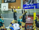 volleyball sv bad laer sc spelle venhaus  