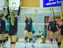 volleyball sv bad laer sc spelle venhaus  