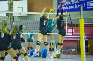 volleyball sv bad laer sc spelle venhaus  