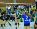 volleyball sv bad laer sc spelle venhaus  