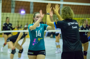 volleyball sv bad laer sc spelle venhaus  