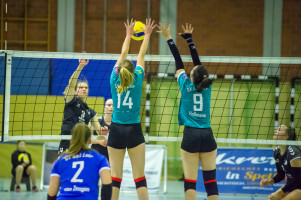 volleyball sv bad laer sc spelle venhaus  