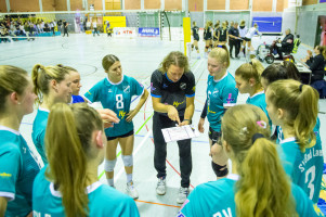volleyball sv bad laer sc spelle venhaus  