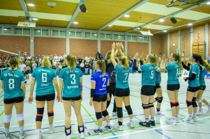 volleyball sv bad laer sc spelle venhaus  
