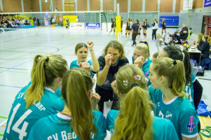 volleyball sv bad laer sc spelle venhaus  
