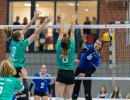 volleyball sv bad laer braunschweig  
