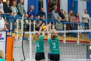 volleyball sv bad laer braunschweig  