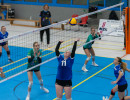 volleyball sv bad laer braunschweig  