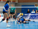 volleyball sv bad laer braunschweig  