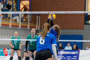 volleyball sv bad laer braunschweig  